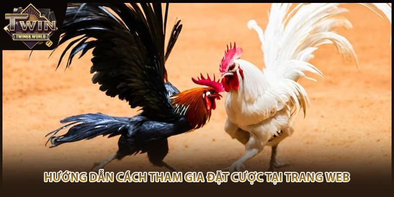 Hướng dẫn cách tham gia đặt cược tại trang web
