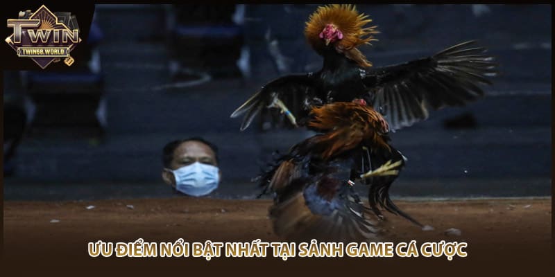 Ưu điểm nổi bật nhất tại sảnh game cá cược